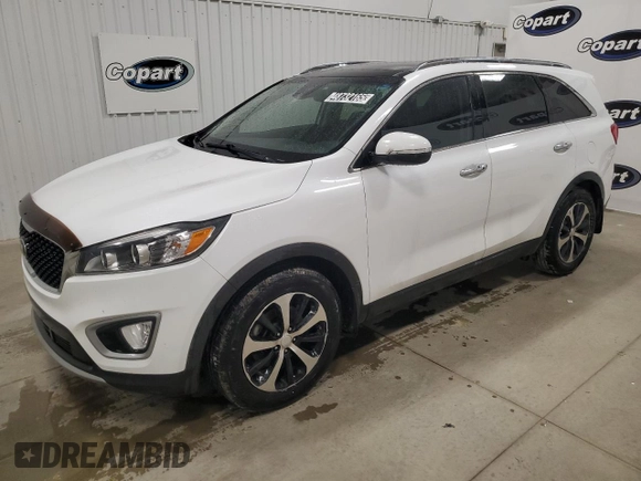 2017 Kia Sorento EX V6 with VIN 5XYPH4A58HG248236, listed as a Copart auction lot 48732165 with 146,353 mi miles and Clean Title. Bid and sale history available at carsss.com. Image 1.