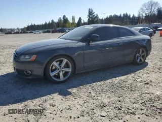2009 Audi A5 with VIN WAUDK78T69A017408, listed as a Copart auction lot 53948485 with 194,232 mi miles and Salvage Title. Bid and sale history available at carsss.com. Image 1.