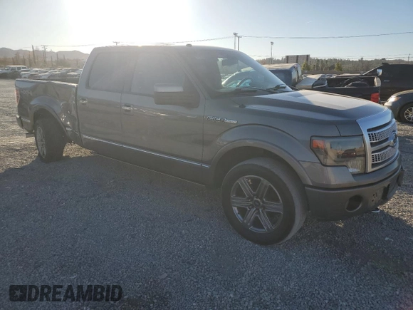 2009 Ford F-150 XL with VIN 1FTPW14V39FB05831, listed as a Copart auction lot 85943924 with 133,893 mi miles and Salvage title. Bid and sale history available at DreamBid. Image 4.