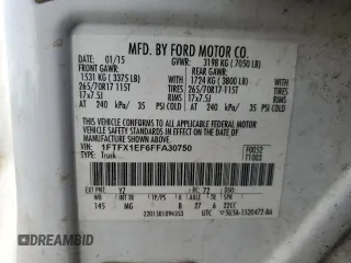 2015 Ford F-150 XLT with VIN 1FTFX1EF6FFA30750, listed as a Copart auction lot 60123375 with 210,315 mi miles and Salvage title. Bid and sale history available at DreamBid. Image 13.