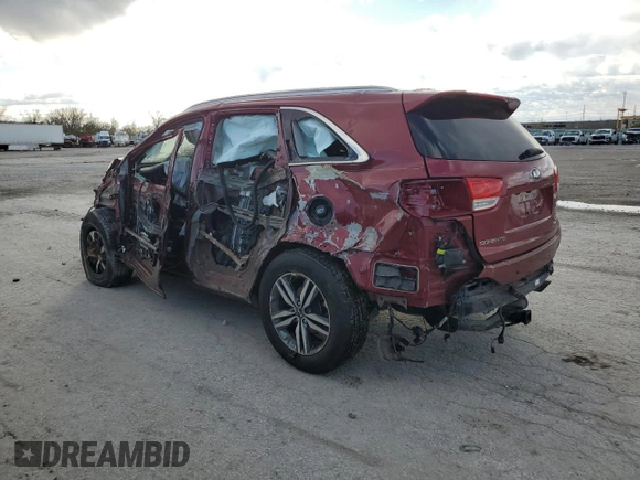 2016 Kia Sorento EX with VIN 5XYPH4A16GG033501, listed as a Copart auction lot 81716374 with Not Provided miles and Salvage Title. Bid and sale history available at DreamBid. Image 2.