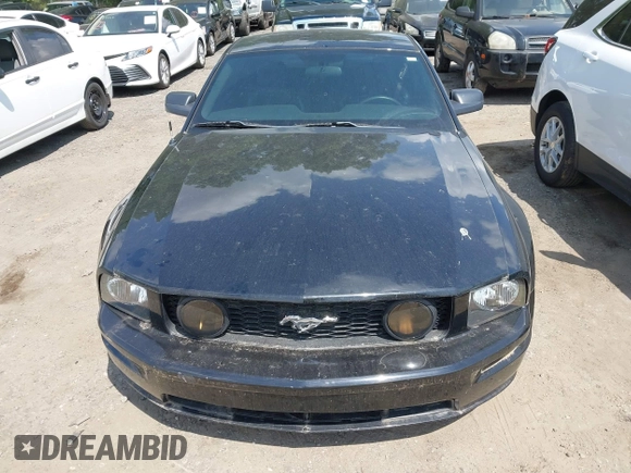 2008 Ford Mustang GT Deluxe with VIN 1ZVHT82H385184552, listed as a IAAI auction lot 42160325 with 212,582 mi miles and . Bid and sale history available at carsss.com. Image 11.