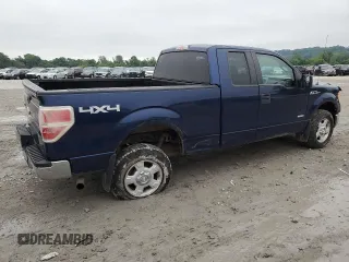 2011 Ford F-150 XL with VIN 1FTFX1ET2BFC30346, listed as a Copart auction lot 59801175 with 215,924 mi miles and Salvage title. Bid and sale history available at DreamBid. Image 3.