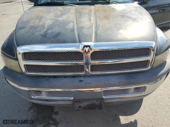 1999 Dodge Ram 1500 with VIN 1B7HF16YXXS246623, listed as a Copart auction lot 65135374 with 0 mi miles and Clean Title. Bid and sale history available at carsss.com. Image 11.