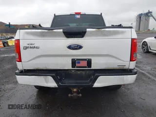 2016 Ford F-150 XLT z VIN 1FTEW1EF7GKF94575, wystawiony jako IAAI lot #42209727 z przebiegiem 307 854 mil mil oraz . Historia ofert i sprzedaży dostępna na DreamBid. Obrazek 16.