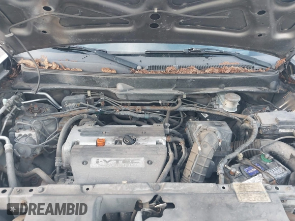 2007 Honda Element EX with VIN 5J6YH28787L004079, listed as a IAAI auction lot 41262957 with 178,119 mi miles and . Bid and sale history available at DreamBid. Image 10.