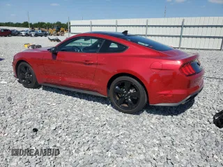 2023 Ford Mustang EcoBoost с VIN 1FA6P8TH7P5111783, выставлен на аукционе Copart как лот 53097805 с пробегом 10 989 миль миль и Списание • Salvage title. История ставок и продаж доступна на DreamBid. Изображение 2.
