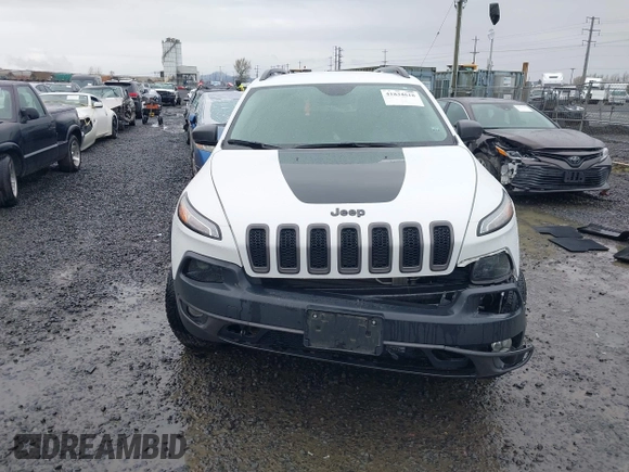 2018 Jeep Cherokee Trailhawk with VIN 1C4PJMBBXJD567022, listed as a IAAI auction lot 41834618 with 41,017 mi miles and . Bid and sale history available at DreamBid. Image 12.