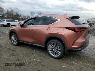 2025 Lexus NX with VIN 2T2GGCEZ6SC071842, listed as a Copart auction lot 47212065 with 4,423 mi miles and Salvage Title. Bid and sale history available at carsss.com. Image 2.