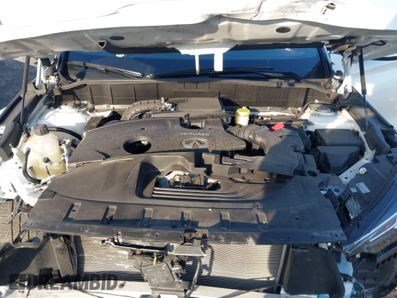2023 Infiniti QX55 Luxe z VIN 3PCAJ5JR4PF122349, wystawiony jako IAAI lot #40942246 z przebiegiem 12 604 mil mil oraz . Historia ofert i sprzedaży dostępna na DreamBid. Obrazek 10.