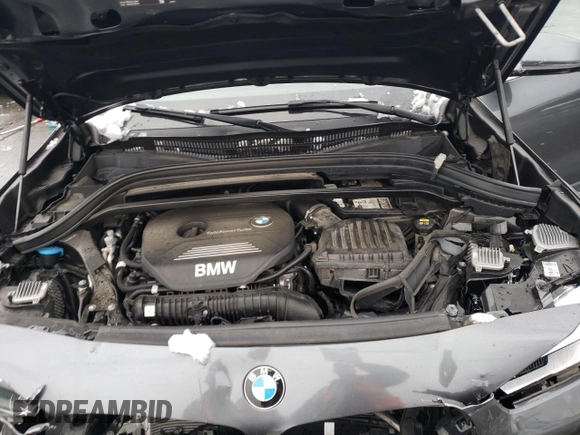 2019 BMW X2 sDrive28i with VIN WBXYJ3C51K5N42631, listed as a Copart auction lot 83223494 with 65,861 mi miles and Salvage Title. Bid and sale history available at carsss.com. Image 12.