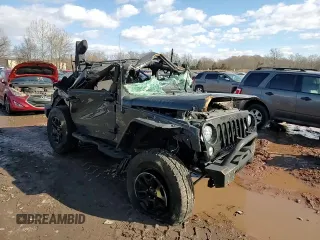 2017 Jeep Wrangler Willys Wheeler with VIN 1C4AJWAG4HL600496, listed as a Copart auction lot 42083985 with Not Provided miles and Salvage Title. Bid and sale history available at DreamBid. Image 10.