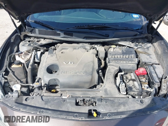 2016 Nissan Maxima Platinum with VIN 1N4AA6AP2GC385723, listed as a IAAI auction lot 41753328 with 162,845 mi miles and . Bid and sale history available at DreamBid. Image 10.