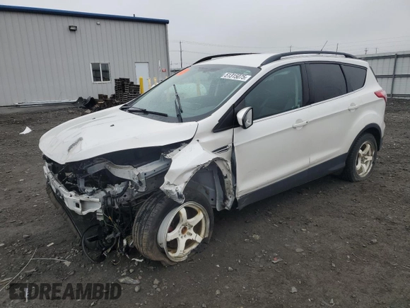 2016 Ford Escape SE with VIN 1FMCU9GX6GUA22334, listed as a Copart auction lot 51315075 with 112,778 mi miles and Salvage Title. Bid and sale history available at DreamBid. Image 1.