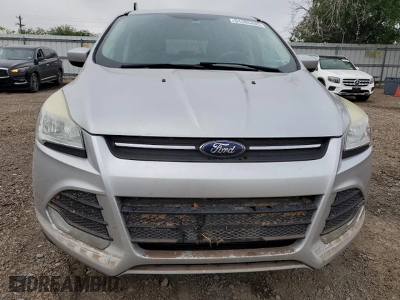 2014 Ford Escape SE with VIN 1FMCU0GX5EUB71665, listed as a Copart auction lot 51385495 with 113,225 mi miles and Salvage Title. Bid and sale history available at carsss.com. Image 5.