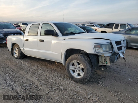 2010 Dodge Dakota Bighorn/Lonestar with VIN 1D7RW3GK8AS212476, listed as a Copart auction lot 81830154 with Not Provided miles and Salvage Title. Bid and sale history available at DreamBid. Image 4.