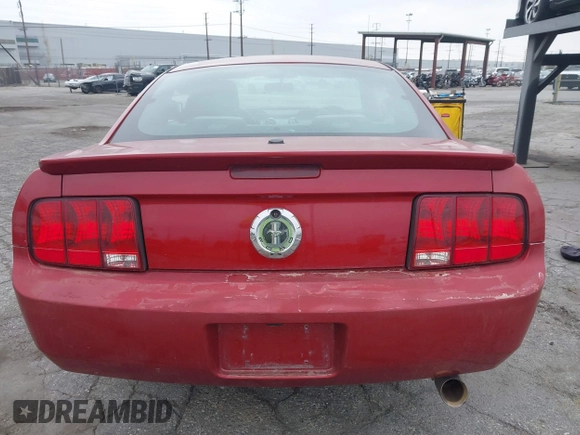 2008 Ford Mustang Deluxe with VIN 1ZVHT80N985100100, listed as a IAAI auction lot 42450593 with 164,853 mi miles and . Bid and sale history available at DreamBid. Image 15.