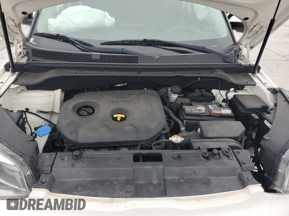 2019 Kia Soul + with VIN KNDJP3A52K7660613, listed as a Copart auction lot 54368645 with Not Provided miles and Clean Title. Bid and sale history available at DreamBid. Image 12.