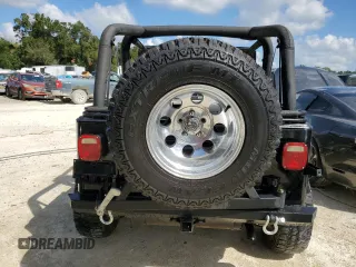 1995 Jeep Wrangler with VIN 1J4FY29SXSP230216, listed as a Copart auction lot 77257834 with 144,217 mi miles and Salvage Title. Bid and sale history available at carsss.com. Image 6.