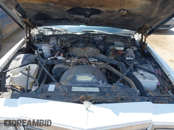 1984 Cadillac DeVille z VIN 1G6AM6989E9064371, wystawiony jako IAAI lot #42365461 z przebiegiem 42 401 mil mil oraz . Historia ofert i sprzedaży dostępna na DreamBid. Obrazek 10.