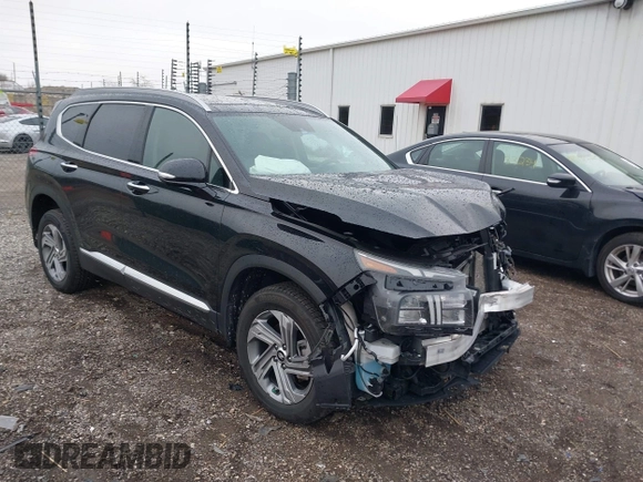 2023 Hyundai Santa Fe SEL with VIN 5NMS3DAJ7PH524867, listed as a IAAI auction lot 41993126 with 39,478 mi miles and . Bid and sale history available at DreamBid. Image 1.