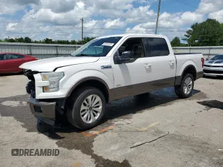 2015 Ford F-150 XL with VIN 1FTEW1CG5FKE08624, listed as a Copart auction lot 60282835 with 141,751 mi miles and Salvage title. Bid and sale history available at DreamBid. Image 1.