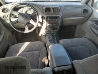 2003 Chevrolet TrailBlazer LS with VIN 1GNDS13SX32140300, listed as a Copart auction lot 48967135 with 284,988 mi miles and Salvage Title. Bid and sale history available at carsss.com. Image 8.
