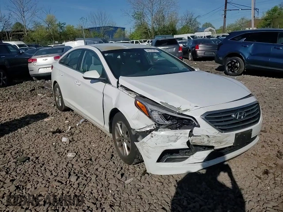 2016 Hyundai Sonata SE with VIN 5NPE24AF1GH359168, listed as a Copart auction lot 54137245 with Not Provided miles and Salvage Title. Bid and sale history available at carsss.com. Image 13.