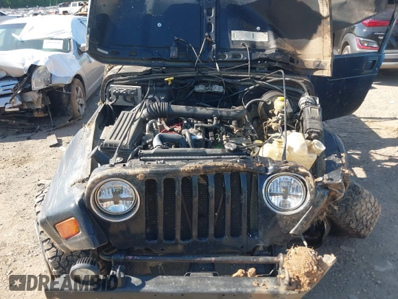 1999 Jeep Wrangler Sahara with VIN 1J4FY49S2XP466068, listed as a IAAI auction lot 42062789 with Not provided miles and . Bid and sale history available at DreamBid. Image 10.