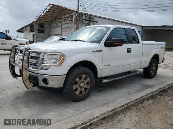 2013 Ford F-150 XL with VIN 1FTFX1ET9DKG06437, listed as a Copart auction lot 54309865 with 127,031 mi miles and Clean Title. Bid and sale history available at carsss.com. Image 1.