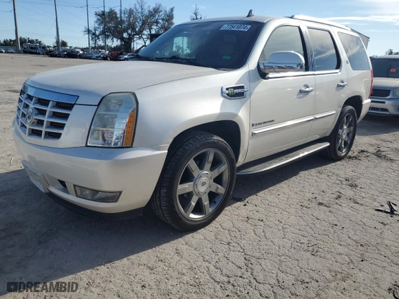 2009 Cadillac Escalade Hybrid with VIN 1GYFK43529R125149, listed as a Copart auction lot 77541074 with NaN miles and Clean Title. Bid and sale history available at carsss.com. Image 1.