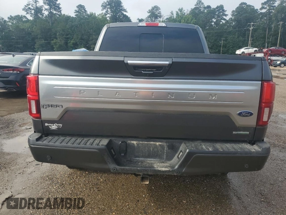 2020 Ford F-150 XL with VIN 1FTEW1E40LFB34014, listed as a Copart auction lot 58930165 with 65,949 mi miles and Salvage title. Bid and sale history available at DreamBid. Image 6.