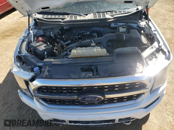 2021 Ford F-150 XL with VIN 1FTMF1CP2MKE07164, listed as a Copart auction lot 53718025 with 66,404 mi miles and Salvage title. Bid and sale history available at DreamBid. Image 11.