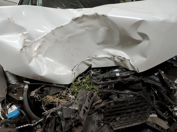 2024 Honda Accord EX с VIN 1HGCY1F3XRA036235, выставлен на аукционе Copart как лот 42360565 с пробегом Не указан миль и Списание • Salvage title. История ставок и продаж доступна на DreamBid. Изображение 12.