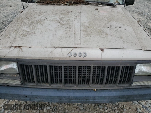 1995 Jeep Cherokee Sport with VIN 1J4FJ68S4SL618773, listed as a Copart auction lot 74126954 with 318,519 mi miles and Salvage title. Bid and sale history available at DreamBid. Image 12.