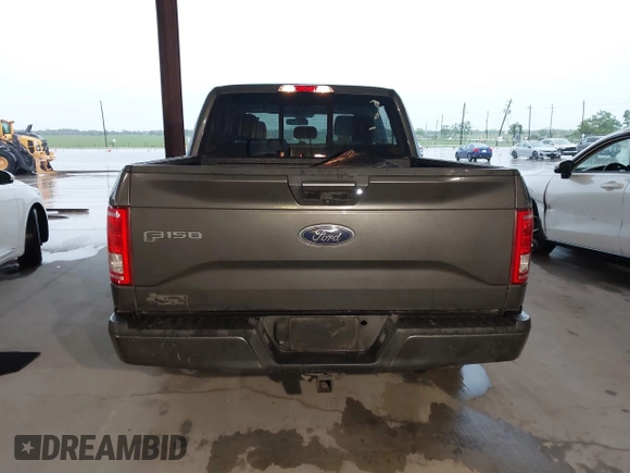 2017 Ford F-150 XL with VIN 1FTEW1CG5HKC60008, listed as a IAAI auction lot 39516967 with 145,413 mi miles. Bid and sale history available at carsss.com. Image 17.