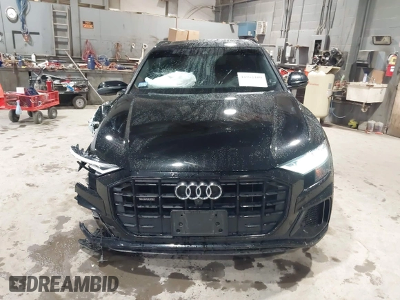 2019 Audi Q8 Premium Plus with VIN WA1EVAF18KD037817, listed as a IAAI auction lot 41922109 with 54,602 mi miles and . Bid and sale history available at DreamBid. Image 12.