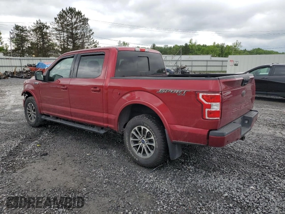 2019 Ford F-150 XL with VIN 1FTEW1E5XKFD24698, listed as a Copart auction lot 60204085 with 145,406 mi miles and Salvage title. Bid and sale history available at DreamBid. Image 2.