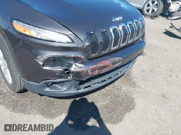 2017 Jeep Cherokee Latitude with VIN 1C4PJLCBXHW572714, listed as a IAAI auction lot 41861087 with 120,552 mi miles and . Bid and sale history available at DreamBid. Image 6.