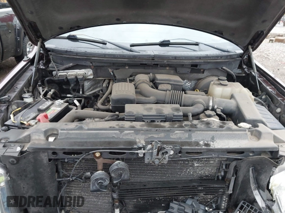 2009 Ford F-150 XL with VIN 1FTPW14V09FA04651, listed as a IAAI auction lot 41819914 with 114,241 mi miles and . Bid and sale history available at DreamBid. Image 10.
