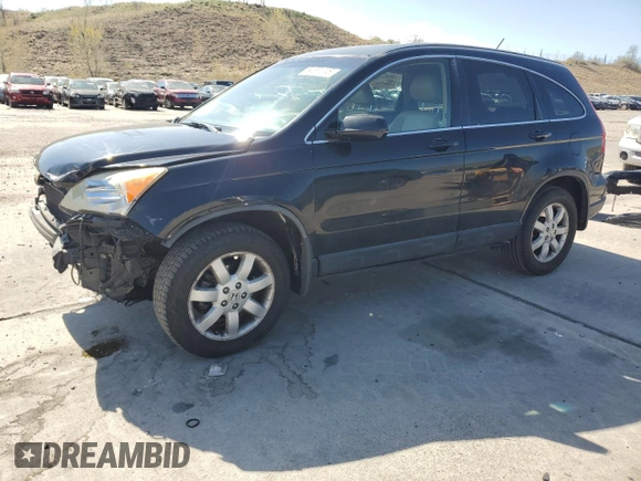 2009 Honda CR-V EX-L with VIN JHLRE38789C011323, listed as a Copart auction lot 54554445 with 228,363 mi miles and Salvage Title. Bid and sale history available at carsss.com. Image 1.