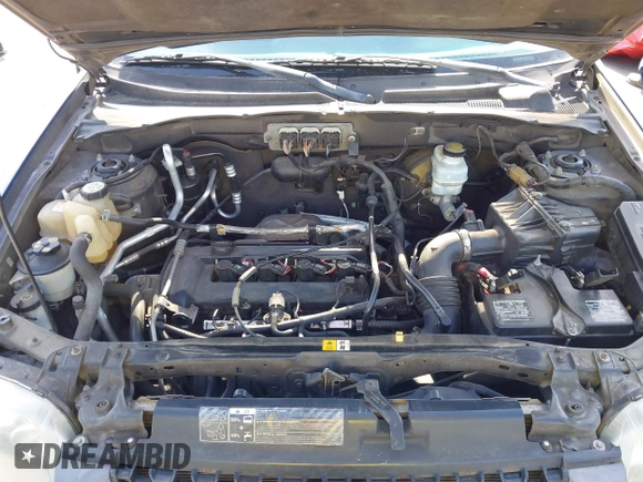 2006 Ford Escape XLS with VIN 1FMYU02Z76KD03045, listed as a IAAI auction lot 42267662 with 289,966 mi miles and . Bid and sale history available at DreamBid. Image 10.