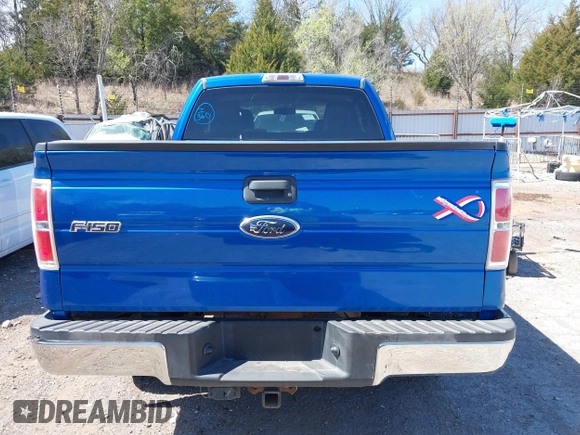2010 Ford F-150 XL with VIN 1FTEX1E89AFD63806, listed as a IAAI auction lot 41851705 with 179,794 mi miles and . Bid and sale history available at DreamBid. Image 16.