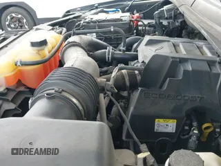 2017 Ford F-150 XL z VIN 1FTEW1CP6HKE06089, wystawiony jako IAAI lot #43189116 z przebiegiem 217 398 mil mil oraz . Historia ofert i sprzedaży dostępna na DreamBid. Obrazek 18.