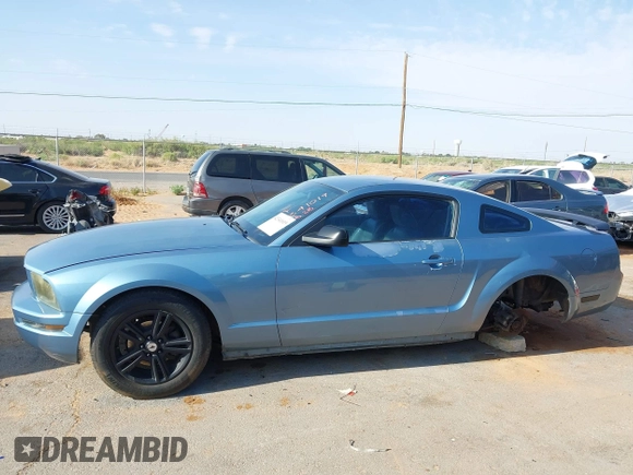2005 Ford Mustang Deluxe with VIN 1ZVFT80N655158524, listed as a IAAI auction lot 42341019 with 169,878 mi miles and . Bid and sale history available at DreamBid. Image 15.