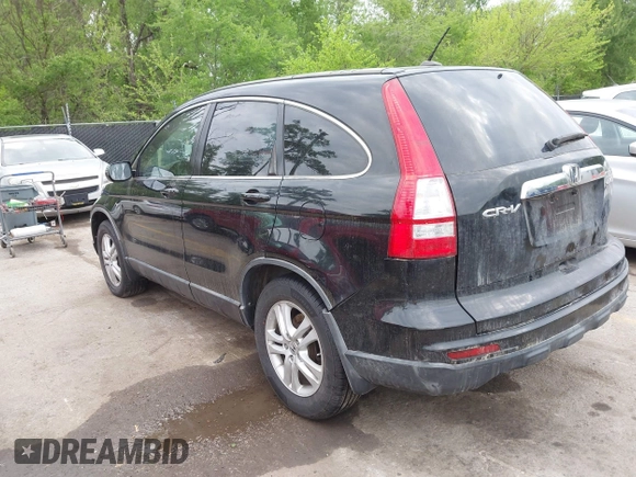 2011 Honda CR-V EX-L with VIN JHLRE4H79BC004859, listed as a IAAI auction lot 42088108 with 248,542 mi miles and . Bid and sale history available at carsss.com. Image 3.