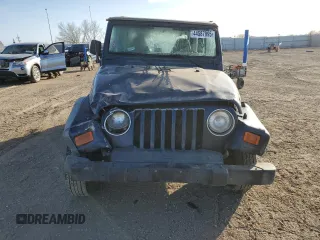 2002 Jeep Wrangler X with VIN 1J4FA39S42P750146, listed as a Copart auction lot 44587995 with 230,334 mi miles and Salvage Title. Bid and sale history available at carsss.com. Image 5.
