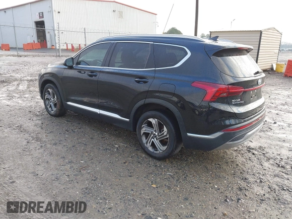 2021 Hyundai Santa Fe SEL with VIN 5NMS24AJ0MH357850, listed as a IAAI auction lot 41207381 with 123,584 mi miles. Bid and sale history available at carsss.com. Image 3.