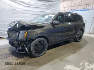 2022 Kia Telluride SX с VIN 5XYP5DHC2NG276672, выставлен на аукционе Copart как лот 53269885 с пробегом 44 780 миль миль и Списание • Salvage title. История ставок и продаж доступна на DreamBid. Изображение 1.