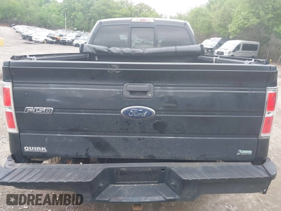 2010 Ford F-150 XL with VIN 1FTFX1EV3AFB59948, listed as a IAAI auction lot 42282930 with 179,930 mi miles and . Bid and sale history available at DreamBid. Image 16.